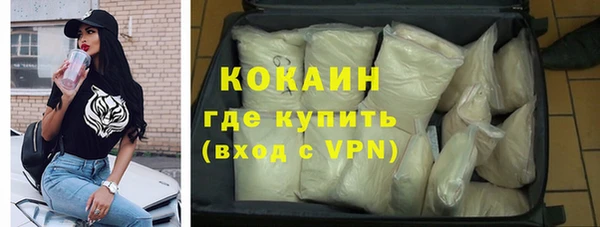 сатива Заречный