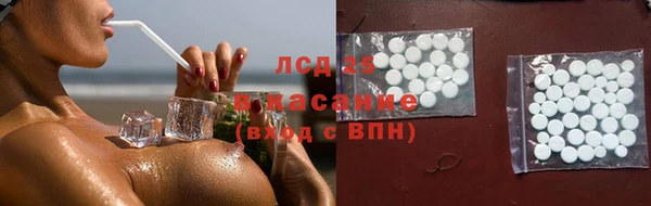 PSILOCYBIN Бородино