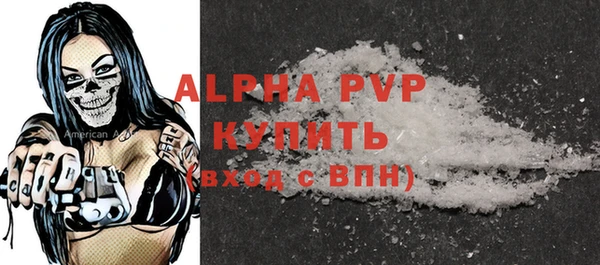 PSILOCYBIN Бородино