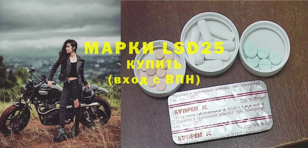 PSILOCYBIN Бородино