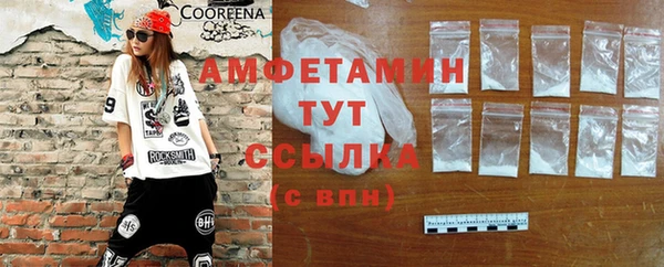 мдпв Верея