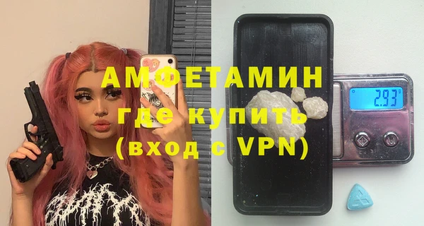 мдпв Верея