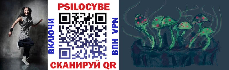 Псилоцибиновые грибы Psilocybe Карталы